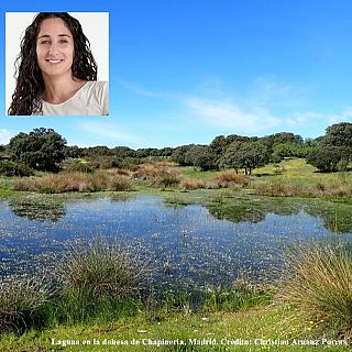 En las últimas dos décadas ha desaparecido la quinta parte de las lagunas temporales de la España peninsular