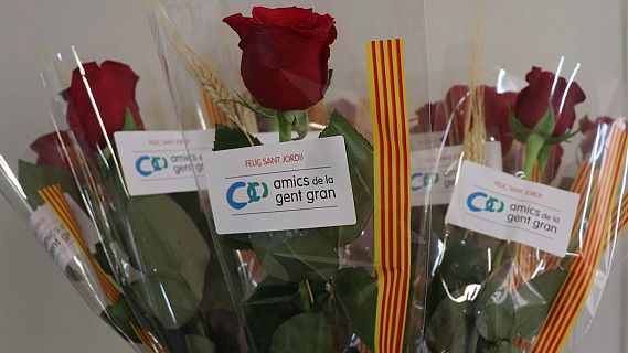 Amics de la Gent Gran porta roses i llibres de Sant Jordi a persones grans que viuen soles