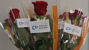 Amics de la Gent Gran porta roses i llibres de Sant Jordi a persones grans que viuen soles