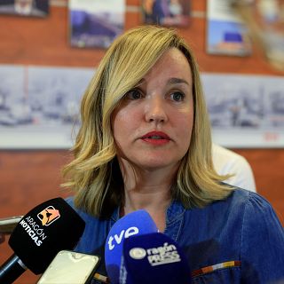 Alegría (PSOE): "Van de garantes de la CE y lo primero que hacen es darle una patada"