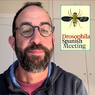 La humilde mosca de la fruta, m�s de un siglo al servicio de la ciencia