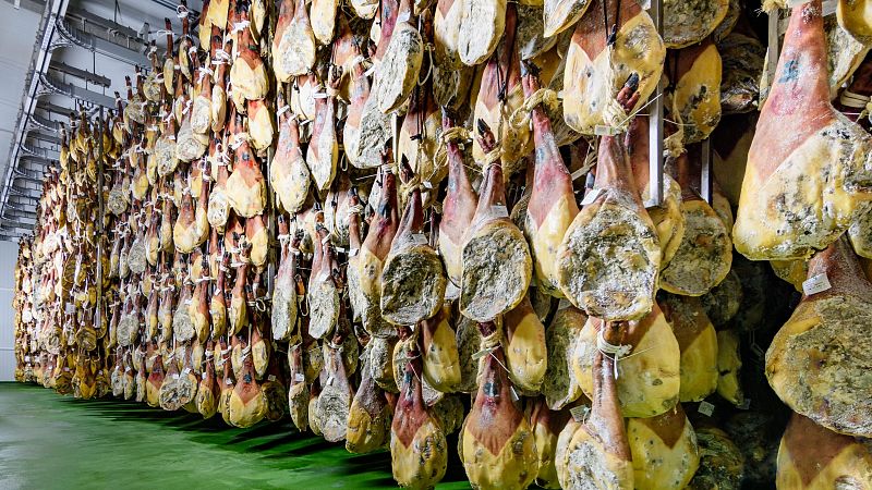 Ruta del jamón ibérico en la dehesa extremeña - En clave Turismo | Escuchar