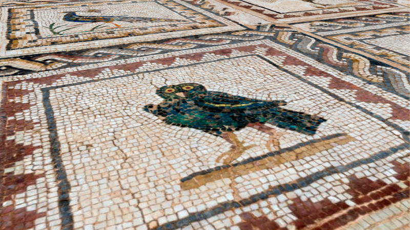 Escapadas - La Casa de los Pájaros - 26/04/26 - Escuchar ahora