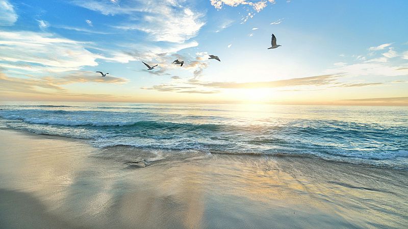 El laberinto - Chill - 25/04/26 - El laberinto | Escuchar