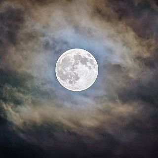 Domingo 4º de Pascua, Misericordia Domini y otros cantos pascuales