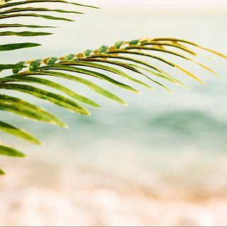 Cantarse a sí mismo