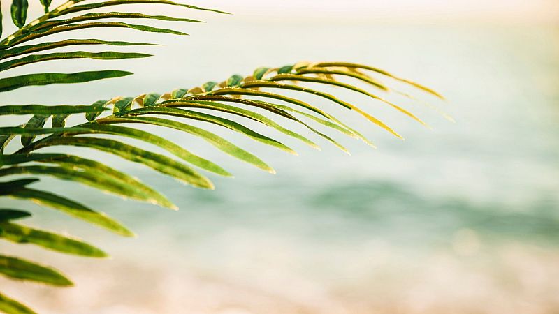 La ciudad silenciosa - Cantarse a s� mismo - 26/04/26 - La ciudad silenciosa | Escuchar