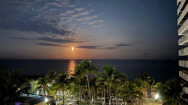 Escribano Palustre - Calidad de vida - 27/04/26 - Escribano Palustre | Escuchar