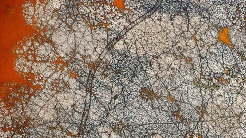 Los Ultrasónicos - Kiko Helguera: Raúl Rodríguez y el rizoma eléctrico - 26/04/26 - Los Ultrasónicos | Escuchar