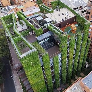 Botánico español, referente mundial en jardines verticales