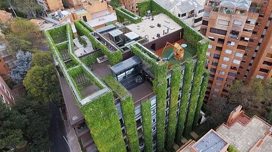 Bot�nico espa�ol, referente mundial en jardines verticales