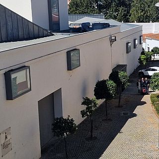 El Museo de las Ciencias del Vino de Almendralejo