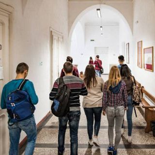 San Sebastián - Programa EKIN para jovenes emprendedores