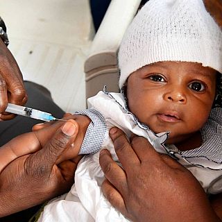 Semana Mundial de la Vacunación y la Inmunización