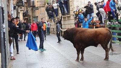 Fallas, encierros, tapas... vivencias únicas para el turismo