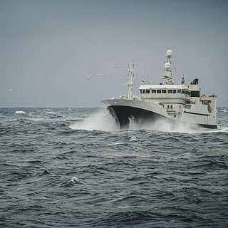 Cepesca en el encuentro de la ICFA en Roma