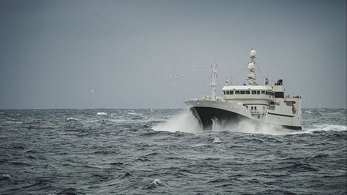 Cepesca en el encuentro de la ICFA en Roma