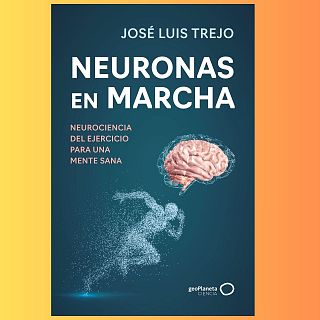 862: Ejercicio para moldear nuestro cerebro
