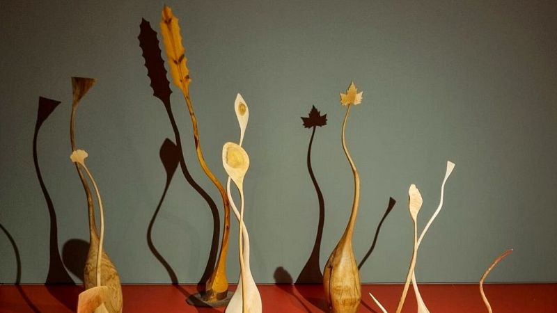 Reserva natural - Abogados ambientales y exposición "Brotes" - 03/05/26 - Escuchar ahora