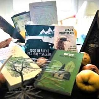 Literatura, Arte e Inspiración de la Naturaleza
