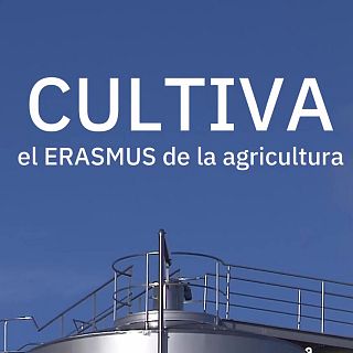 Jaén - Erasmus agrario