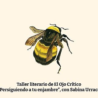 Taller literario 'Persiguiendo a tu enjambre' con Sabina Urraca  - Enfermedad