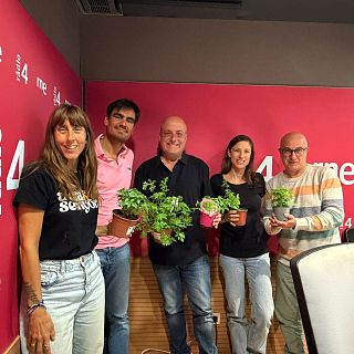 Quines s�n les millors plantes per perfumar la casa i allunyar els mosquits?