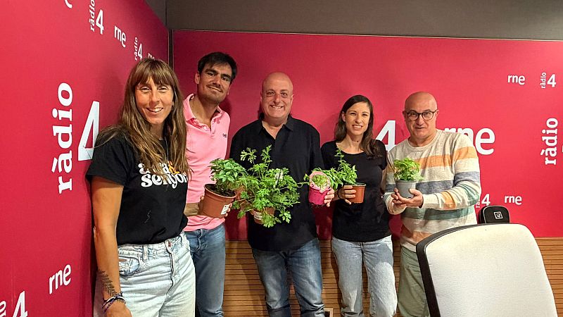 El mat� de R�dio 4 - Quines s�n les millors plantes per perfumar la casa i allunyar els mosquits? - El mat� de R�dio 4 | Escoltar