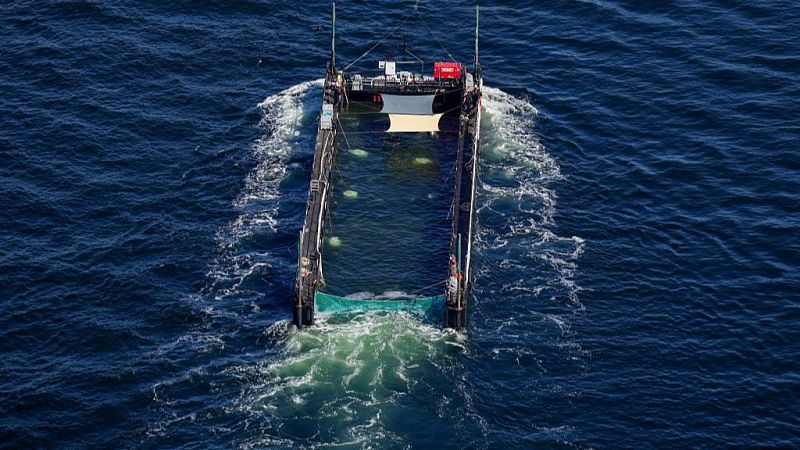 Rescate de la ballena Timy: liberada en el Mar del Norte - Las mañanas de RNE | Escuchar
