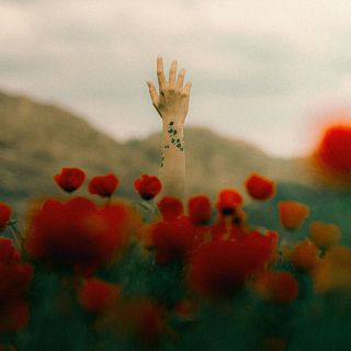 Kalenda maia: celebrando la vida