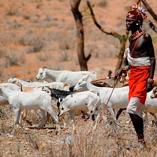 Los masáis expulsados forzosamente de sus tierras
