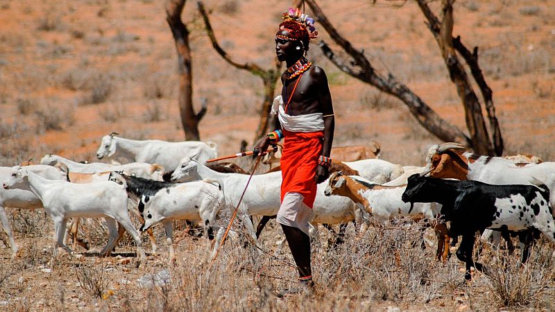 Los masáis expulsados forzosamente de sus tierras - África hoy | Escuchar
