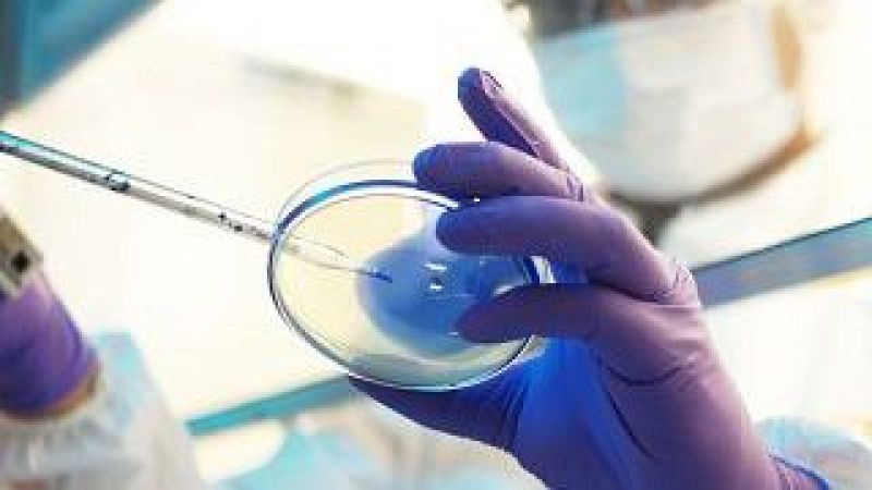 A golpe de bit en Radio 5 - Virus y espacio genético: cómo se adaptan según el ambiente - 06/05/26 - Escuchar ahora