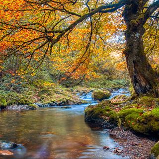 Festival de ecoturismo en Fuentes del Narcea