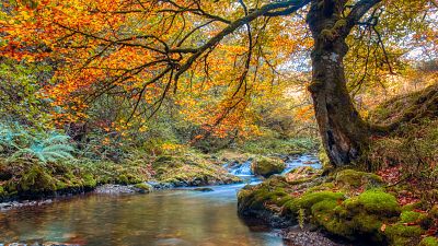Festival de ecoturismo en Fuentes del Narcea
