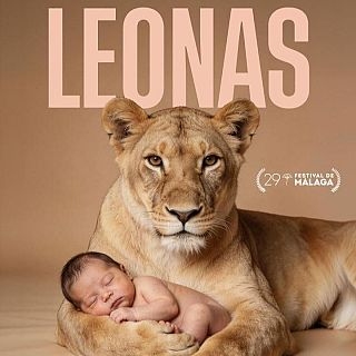 "Leonas", Albert Fernández i el nou EP de la banda Tiemei i el test de Olivia Rodrigo de l'Ana Polo