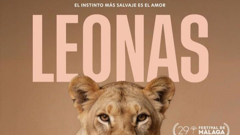 L'Entrellat - "Leonas", Albert Fern�ndez i el nou EP de la banda Tiemei i el test de Olivia Rodrigo de l'Ana Polo - L'Entrellat | Escoltar