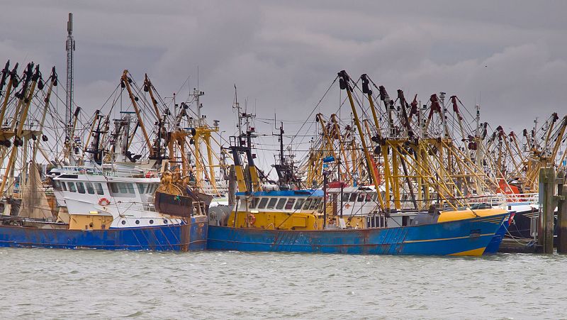 Mundo rural - Consejo de Ministros de pesca de la UE - 08/05/26 - Escuchar ahora