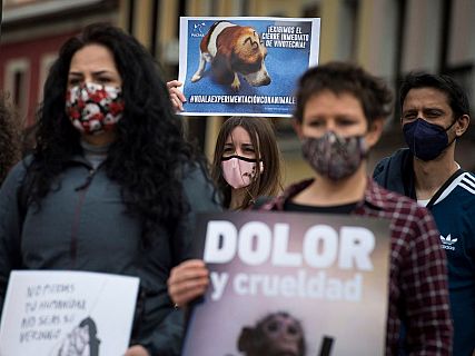 El 'cas Vivotecnia' arriba a judici cinc anys després