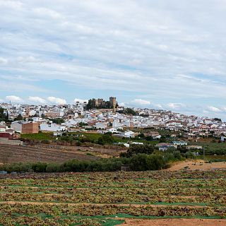 Ruta por Montilla: su historia, patrimonio, bodegas y vinos