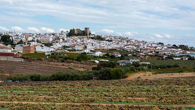 Ruta por Montilla: su historia, patrimonio, bodegas y vinos
