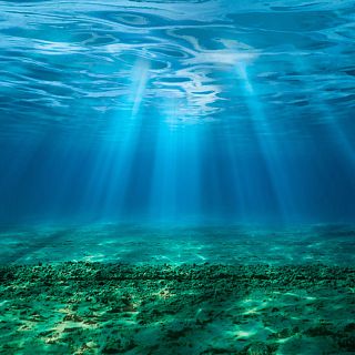 CanBIO, un proyecto para escuchar los mares