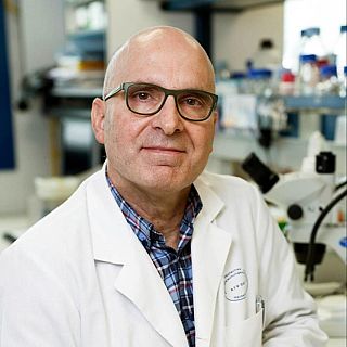 "Esta especie no tiene capacidad endémica o epidémica"