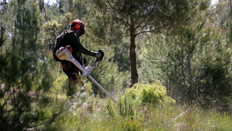 Nou pla forestal per prevenir grans incendis a Catalunya | Escoltar