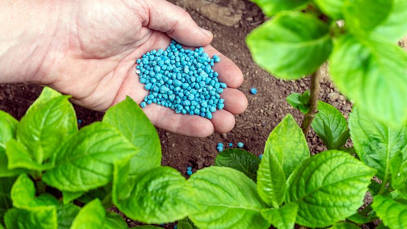 Mundo rural - Plan europeo de fertilizantes - 13/05/26 - Escuchar ahora