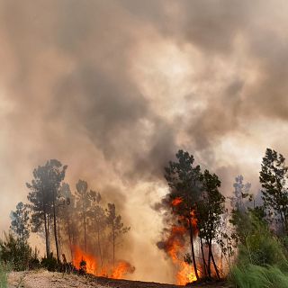 Lecciones aprendidas y retos futuros en incendios forestales