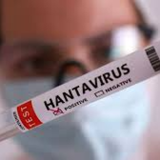 Quin és el període de màxima transmissió de l'hantavirus? El doctor Robert Güerri respon