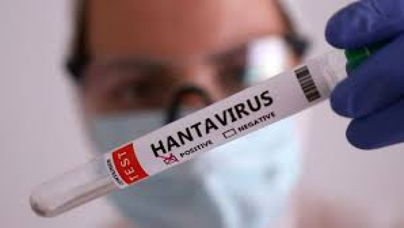 El mat� de R�dio 4 - Quin �s el per�ode de m�xima transmissi� de l'hantavirus? El doctor Robert G�erri respon - El mat� de R�dio 4 | Escoltar