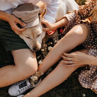 Analitzem amb Arantxa Coca l'estudi de ConsumerAffairs: Els animals per sobre de la família