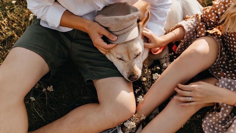 Analitzem amb Arantxa Coca l'estudi de ConsumerAffairs: Els animals per sobre de la fam�lia - Xavif�rnia | Escoltar